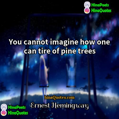 Ernest Hemingway Quotes | You cannot imagine how one can tire